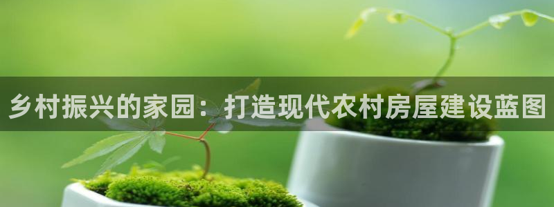 威九国际正规吗：乡村振兴的家园：打造现代农村房屋建设蓝图