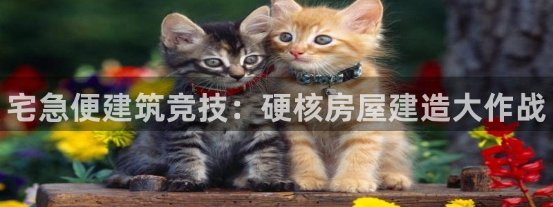威九国际的金融服务怎么样