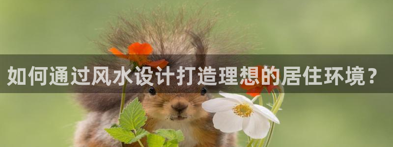 威九国际78m域名：如何通过风水设计打造理想的居住环境？