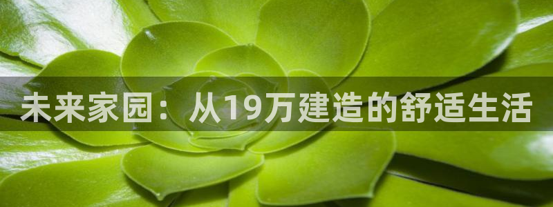 威九国际精选：未来家园：从19万建造的舒适生活
