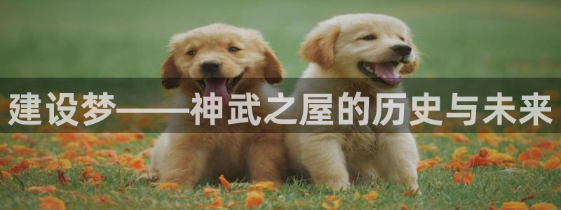 威九国际78免下载