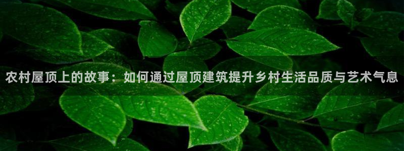 威九国际新：农村屋顶上的故事：如何通过屋顶建筑提升乡村生活品质与艺术气息