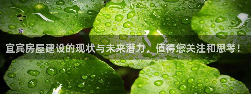 威九国际网站入口地址在哪里：宜宾房屋建设的现状与未来潜力，值得您关注和思考！