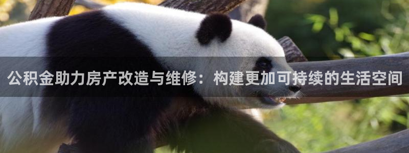 威九国际客服电话号码是多少：公积金助力房产改造与维修：构建更加可持续的生活空间