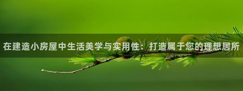 78mapp威九国际免费官方版下载：在建造小房屋中生活美学与实用性：打造属于您的理想居所