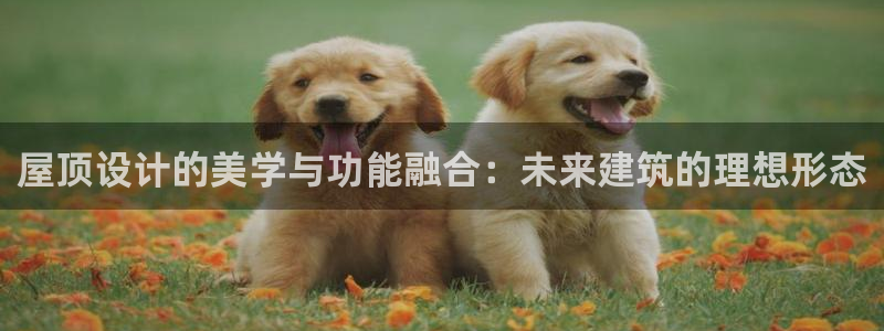 威九国际入口一：屋顶设计的美学与功能融合：未来建筑的理想形态