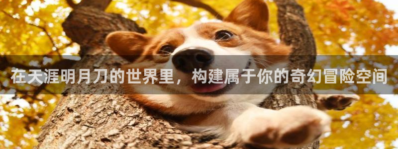 威九国际网站游戏：在天涯明月刀的世界里，构建属于你的奇幻冒险空间