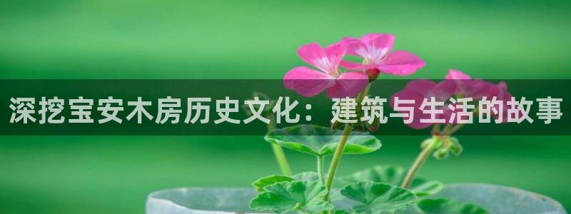 威九国际v96bet官网版：深挖宝安木房历史文化：建筑与生活的故事