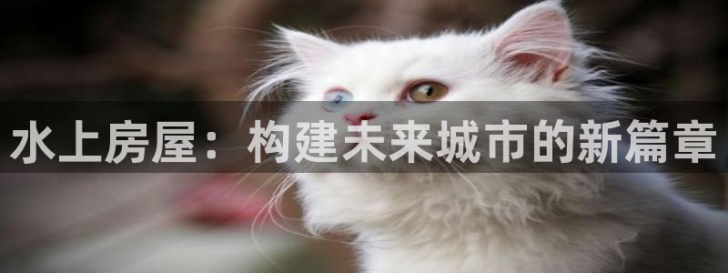 威九国际EVA：水上房屋：构建未来城市的新篇章