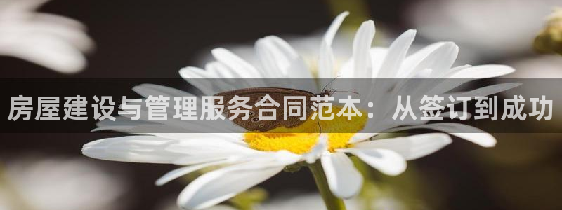 威九国际mm：房屋建设与管理服务合同范本：从签订到成功
