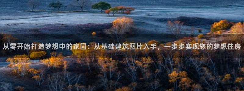 威九国际官网版下载：从零开始打造梦想中的家园：从基础建筑图片入手，一步步实现您的梦想住房
