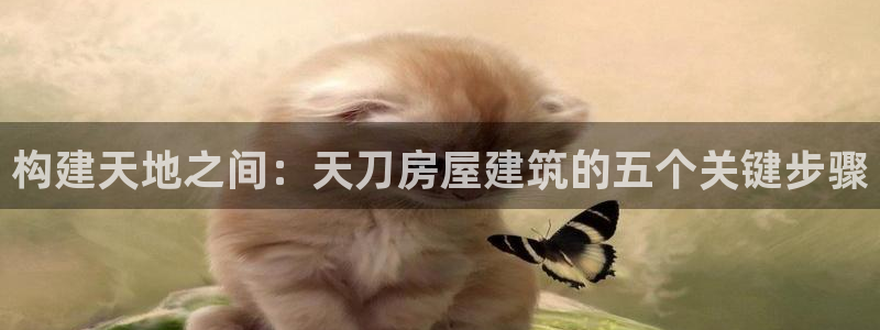 78mapp威九国际官网：构建天地之间：天刀房屋建筑的五个关键步骤