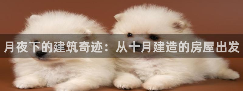 威九国际网站入口&rdpuo：月夜下的建筑奇迹：从十月建造的房屋出发