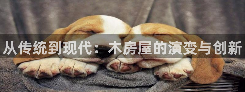 威九国际网站客服电话多少号码