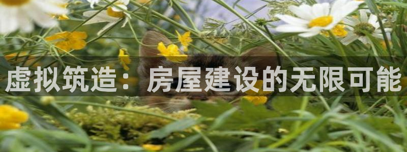 66m威九国际精选：虚拟筑造：房屋建设的无限可能