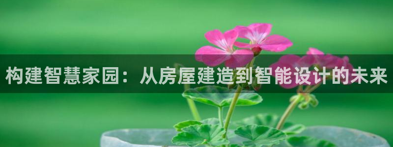 威九code6070：构建智慧家园：从房屋建造到智能设计的未来