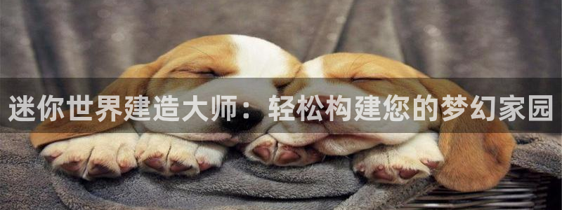 威九国际网站进入客服中心怎么退出：迷你世界建造大师：轻松构建您的梦幻家园
