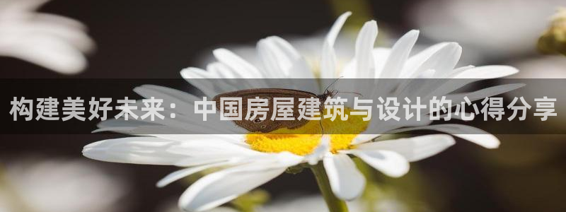 威九国际78mb官网：构建美好未来：中国房屋建筑与设计的心得分享