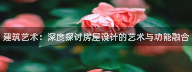 威九国际合作伙伴有哪些：建筑艺术：深度探讨房屋设计的艺术与功能融合
