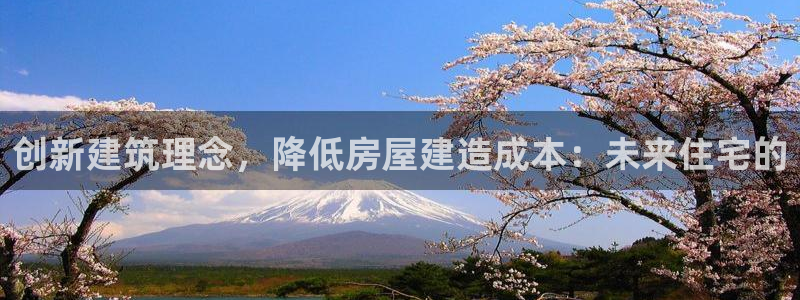 威九国际：创新建筑理念，降低房屋建造成本：未来住宅的