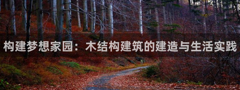 威九国际H：构建梦想家园：木结构建筑的建造与生活实践