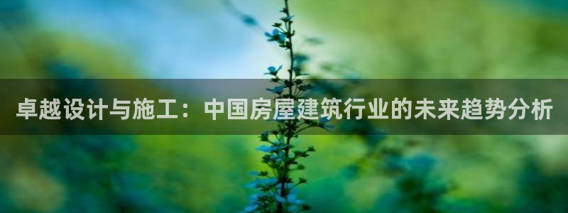 威九国际top：卓越设计与施工：中国房屋建筑行业的未来趋势分析