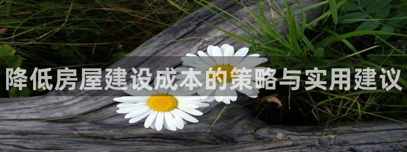威九国际免费：降低房屋建设成本的策略与实用建议