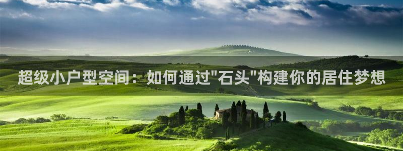 威九国际的演员：超级小户型空间：如何通过\