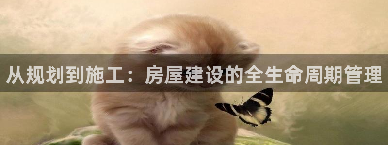 威九国际ppt免费下载：从规划到施工：房屋建设的全生命周期管理