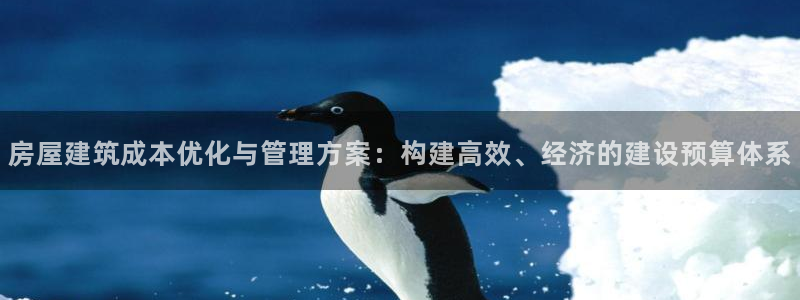 威九国际观看：房屋建筑成本优化与管理方案：构建高效、经济的建设预算体系