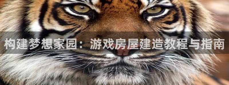 威九国际女演员名单介绍
