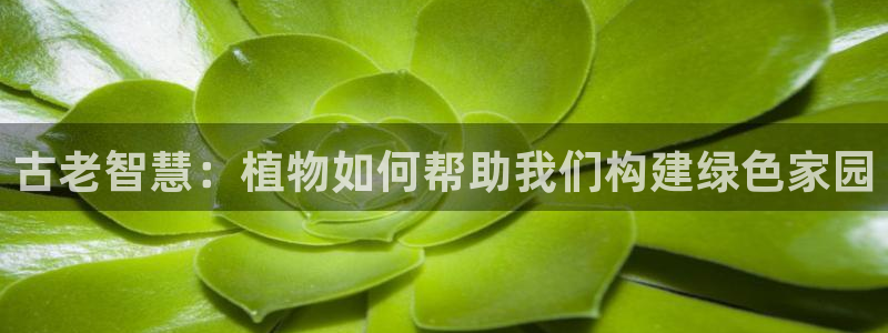 威九国际78m小说：古老智慧：植物如何帮助我们构建绿色家园