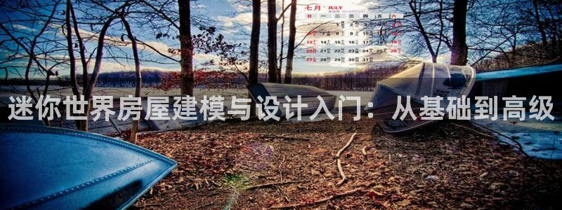 威九国际客服电话是多少：迷你世界房屋建模与设计入门：从基础到高级
