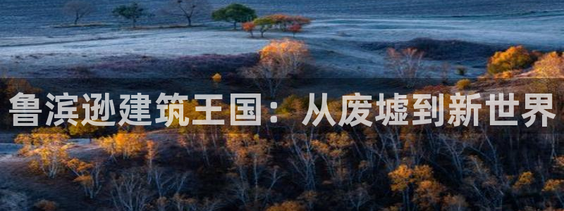 威九国际网站进入客服中心怎么退出：鲁滨逊建筑王国：从废墟到新世界