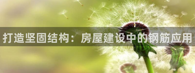 威九国际黑钱：打造坚固结构：房屋建设中的钢筋应用