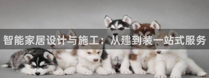 威九国际v9：智能家居设计与施工：从建到装一站式服务