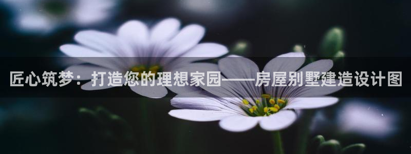 威九国际app客服电话号码：匠心筑梦：打造您的理想家园——房屋别墅建造设计图