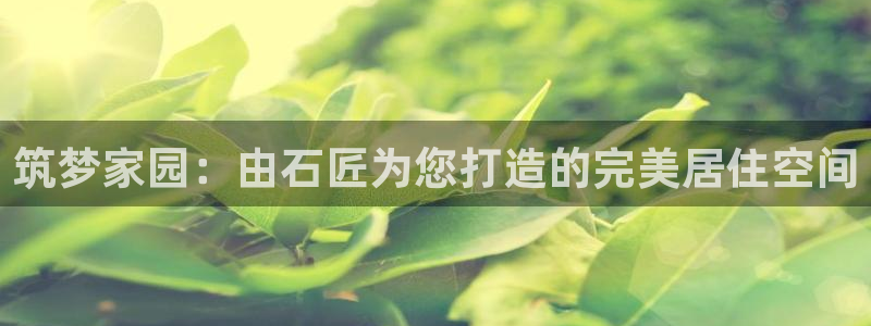 威九国际精彩视频2022年：筑梦家园：由石匠为您打造的完美居住空间