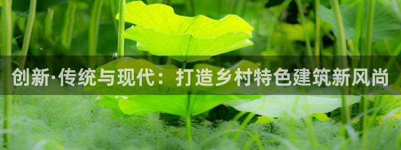 78mapp威九国际：创新·传统与现代：打造乡村特色建筑新风尚