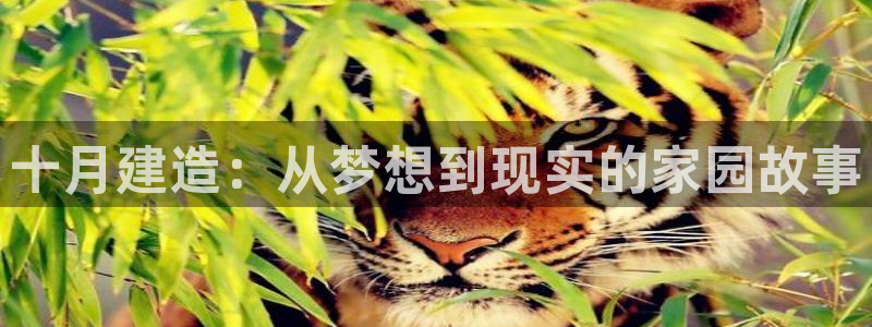 威九国际演员名单：十月建造：从梦想到现实的家园故事
