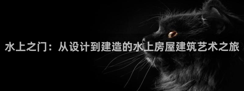 威九国际网页看视频弹窗的广告拦截插件：水上之门：从设计到建造的水上房屋建筑艺术之旅