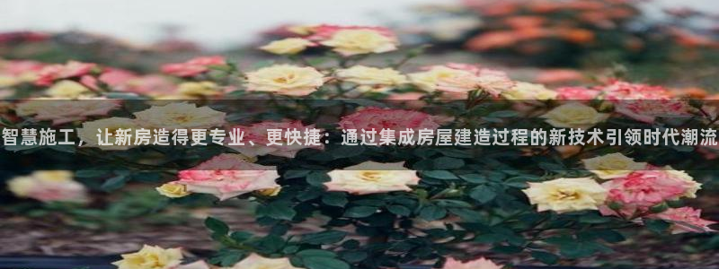威九国际mv：智慧施工，让新房造得更专业、更快捷：通过集成房屋建造过程的新技术引领时代潮流