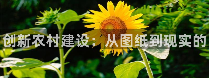 威九国际网页看视频弹窗的广告拦截插件：创新农村建设：从图纸到现实的