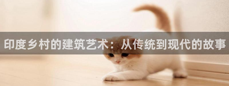 78mapp威九国际神曲口服液：印度乡村的建筑艺术：从传统到现代的故事
