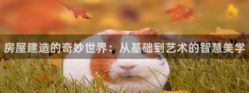 威九国际官网登录入口网址：房屋建造的奇妙世界：从基础到艺术的智慧美学