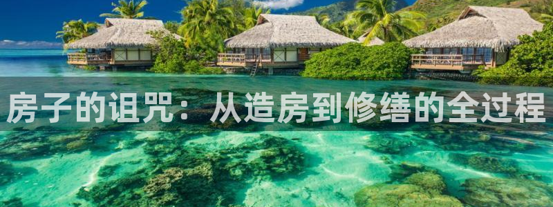 威九国际网站进入产品分类：房子的诅咒：从造房到修缮的全过程