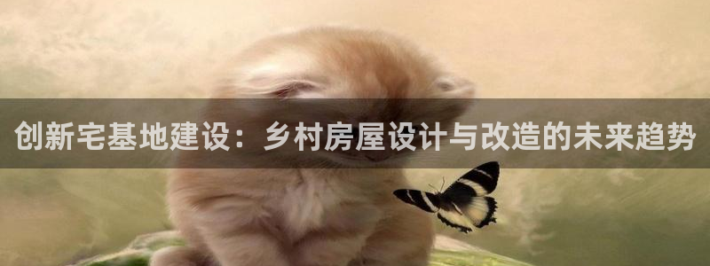 威九cp：创新宅基地建设：乡村房屋设计与改造的未来趋势