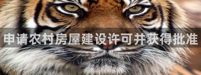 威九国际网页看视频弹窗的广告拦截插件：申请农村房屋建设许可并获得批准