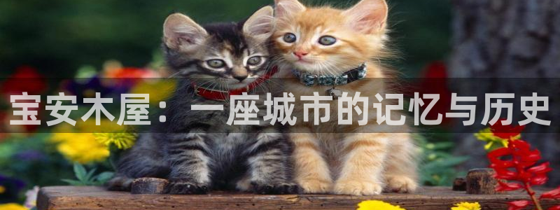威九国际网站官网：宝安木屋：一座城市的记忆与历史