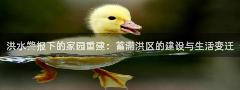 威九国际78mb42：洪水警报下的家园重建：蓄滞洪区的建设与生活变迁